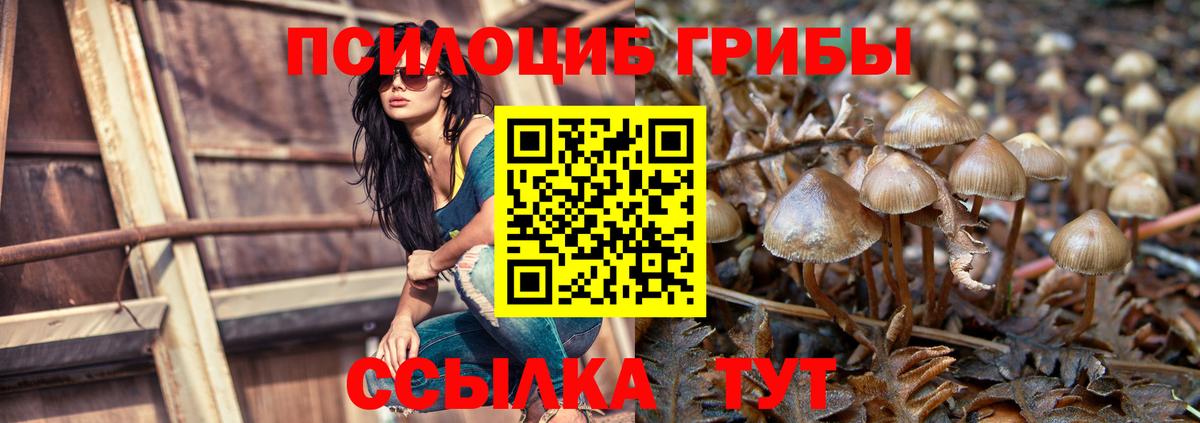 Ишимбай  Галлюциногенные грибы мухоморы  Вход с VPN 